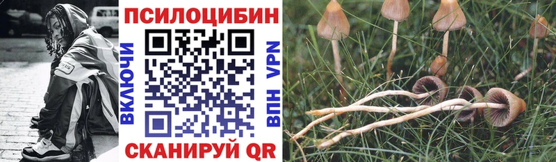 наркотики  мориарти наркотические препараты  Псилоцибиновые грибы прущие грибы  Звенигово 