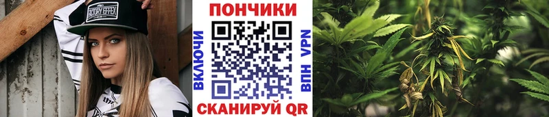 мега рабочий сайт  Звенигово  Шишки марихуана план 
